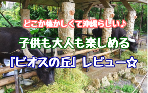 ビオスの丘　料金